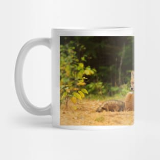 Red Fox look back - Algonquin Park Mug